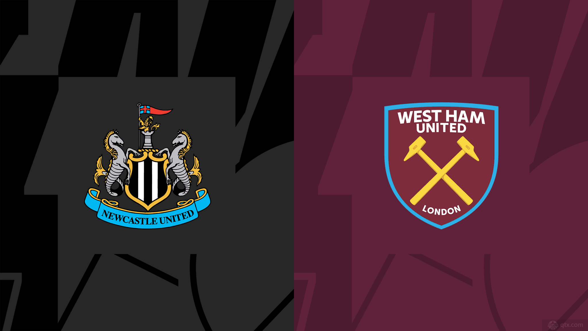 力的年轻球 力的年轻球